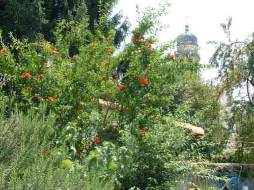 Appartement Casa Vacanze Alleantichemura à Conegliano Extérieur photo